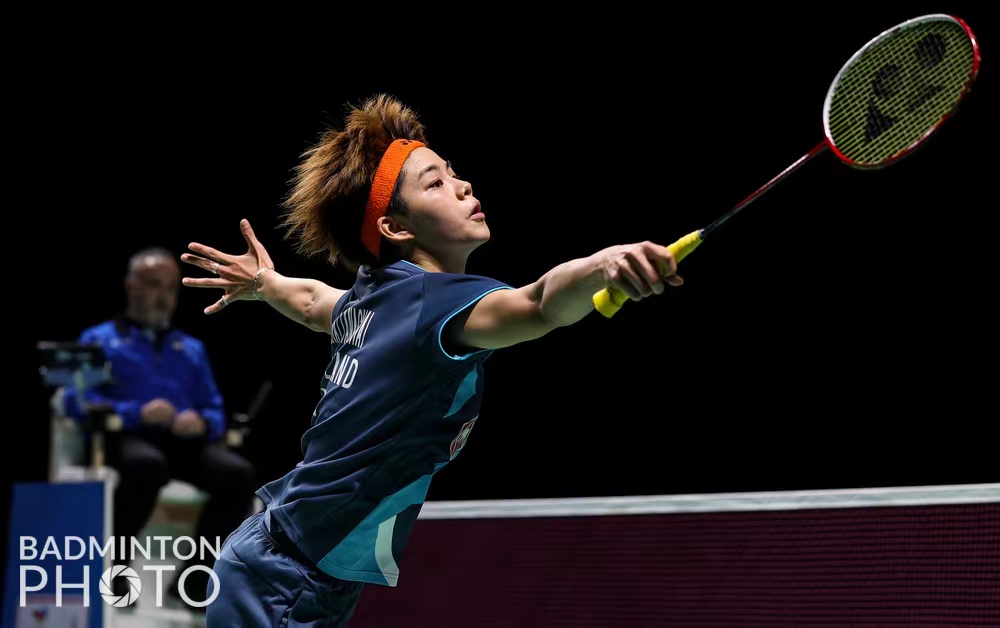 等多个项目 等多个项目